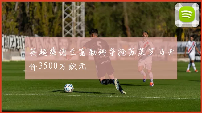 英超桑德兰富勒姆争抢苏莱罗马开价3500万欧元