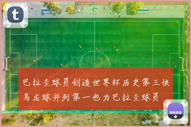 巴拉圭球员创造世界杯历史第三快乌龙球并列第一也为巴拉圭球员